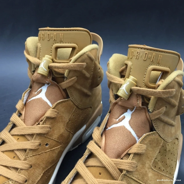 Jordan Air 6 